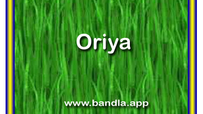 Bandla App gujarati image