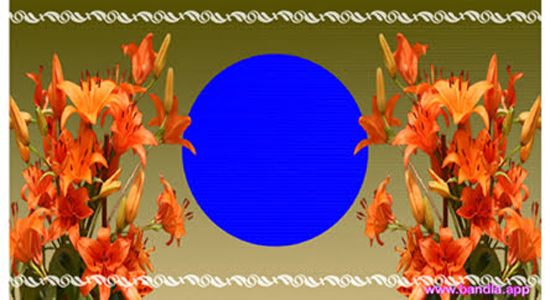 Bandla App image
